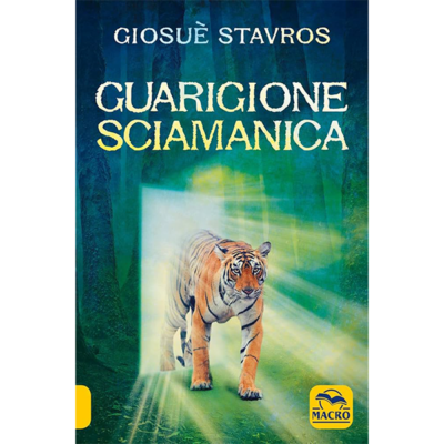 guarigione sciamanica