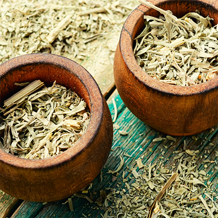 artemisia utilizzo