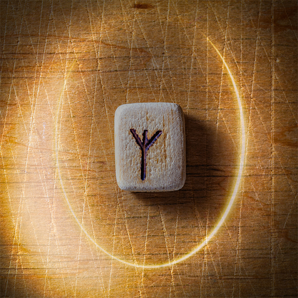 Algiz simbolo rune