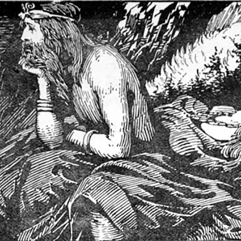 Njord divinità vichinghi