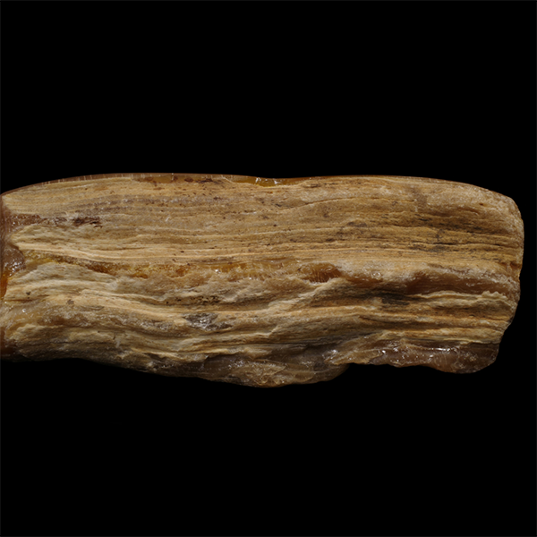 legno silicizzato fotografia