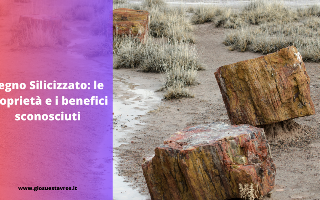 LEGNO SILICIZZATO SIGNIFICATO