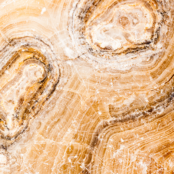 legno silicizzato nella cristalloterapia