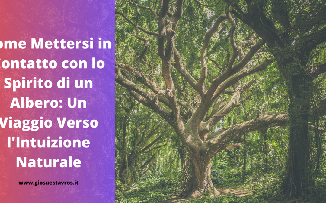 Mettersi in Contatto con lo Spirito di un Albero