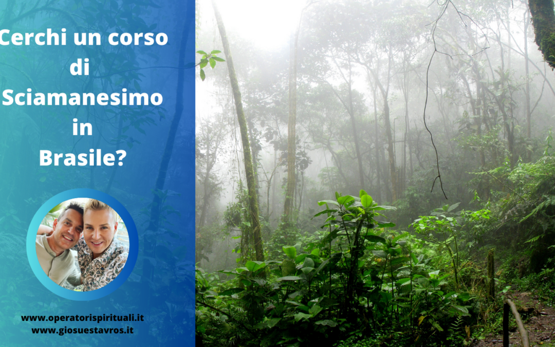 Cerchi un. corso di Sciamanesimo in Brasile?