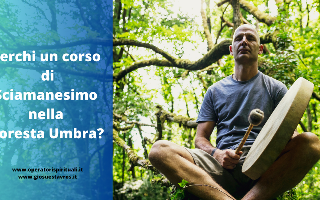 Cerchi un corso di Sciamanesimo nella Foresta Umbra?