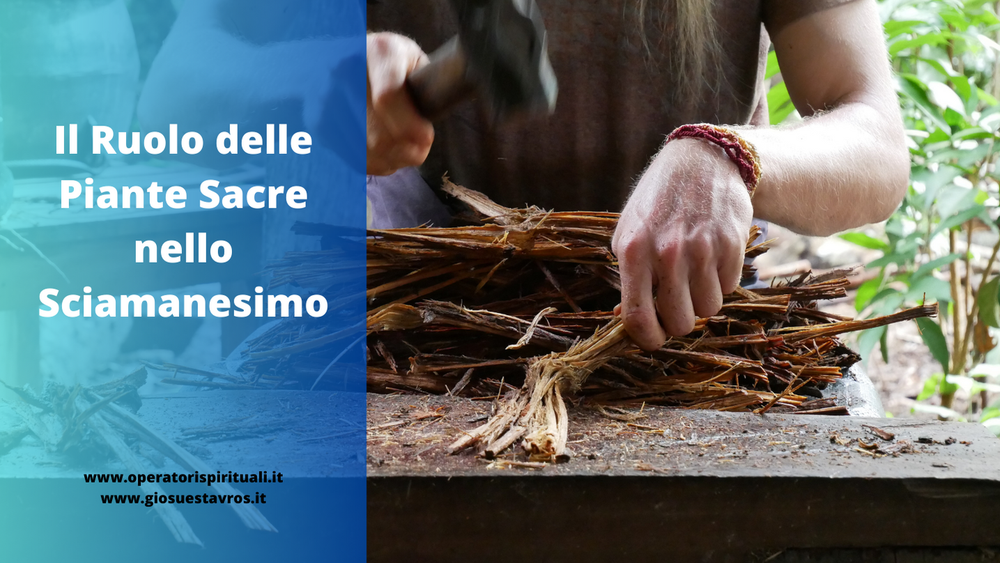 Sciamanesimo e piante sacre