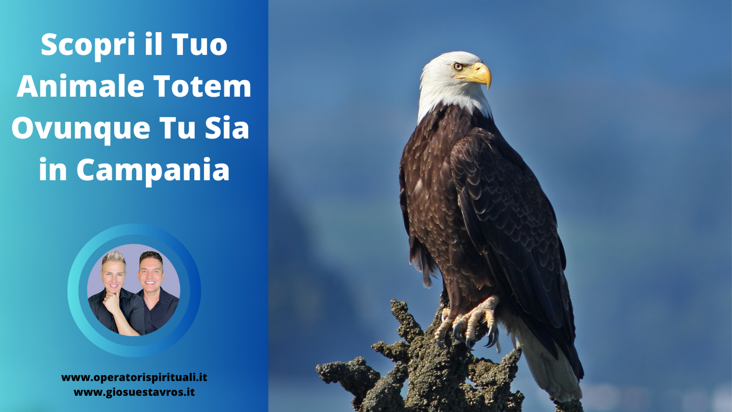 Animale Totem Campania
