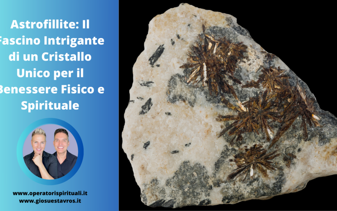 ASTROFILLITE: Utilizzo, Caratteristiche e Curiosità in Cristalloterapia