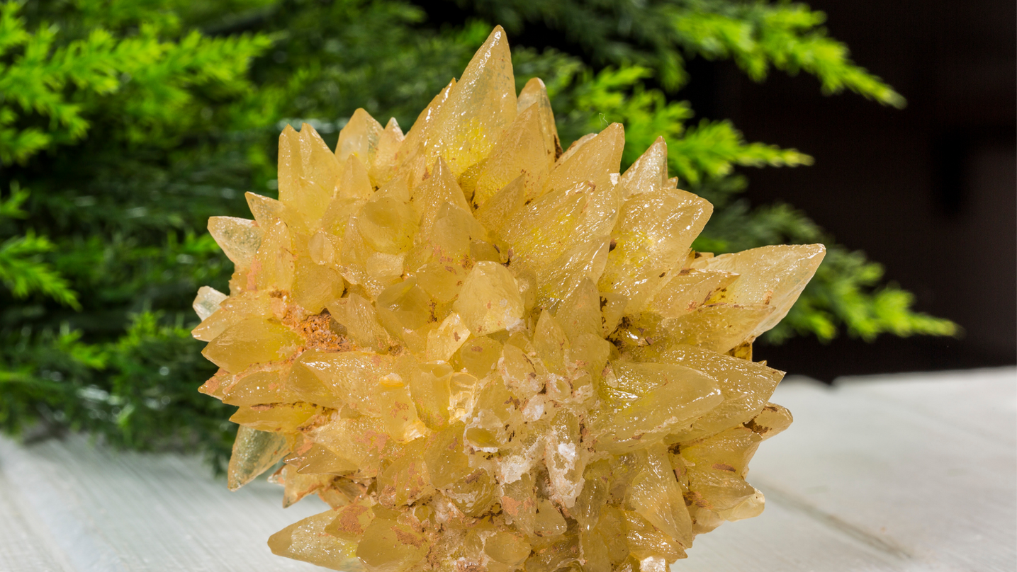 Calcite famiglia