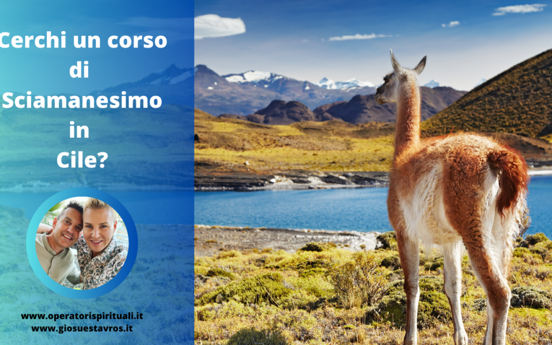 Cerchi un corso di Sciamanesimo in Cile?