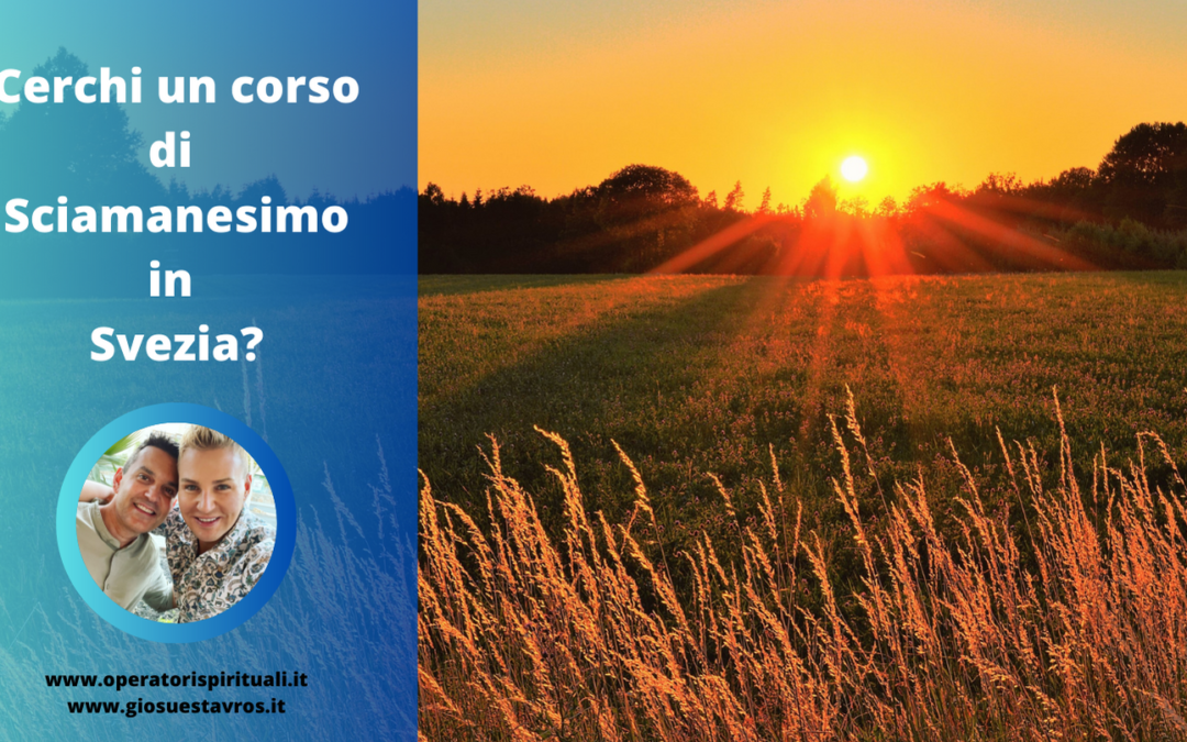 Cerchi un corso di Sciamanesimo in Svezia?