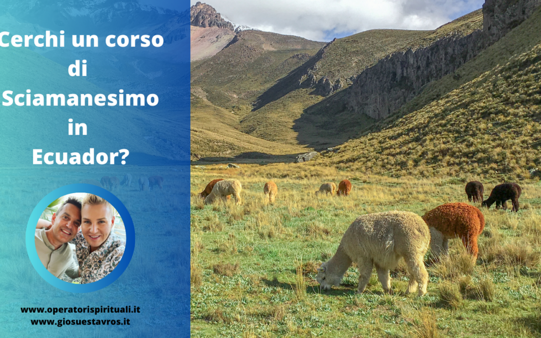 Cerchi un corso di Sciamanesimo in Ecuador?
