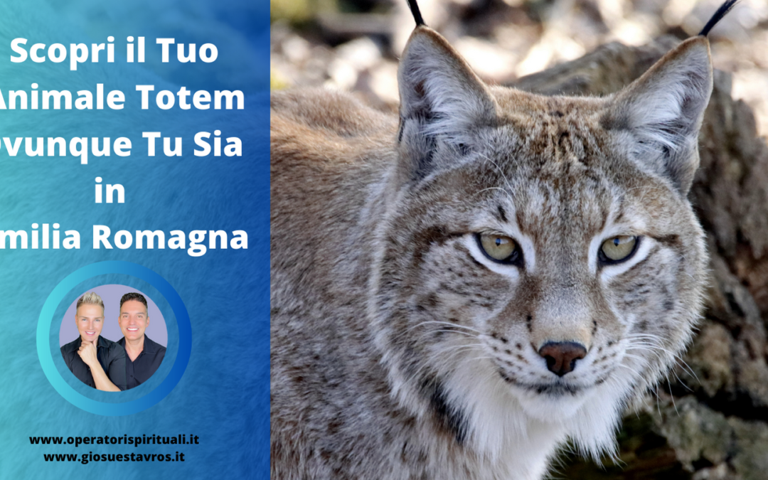 Scopri il Tuo Animale Totem Ovunque Tu Sia in Emilia Romagna