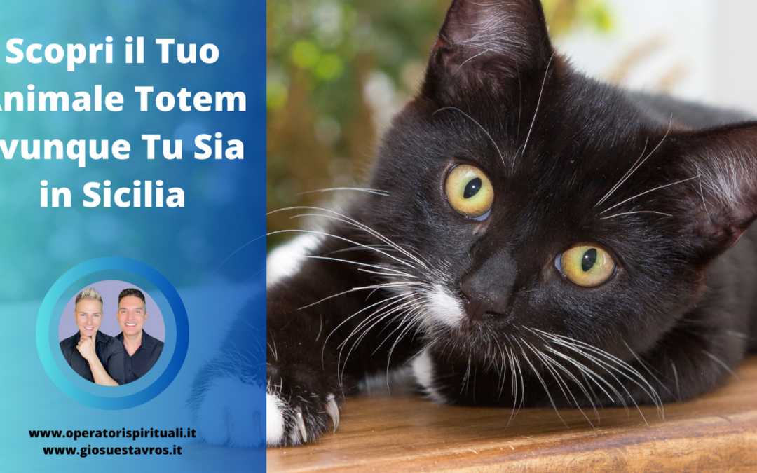 Scopri il Tuo Animale Totem Ovunque Tu Sia in Sicilia