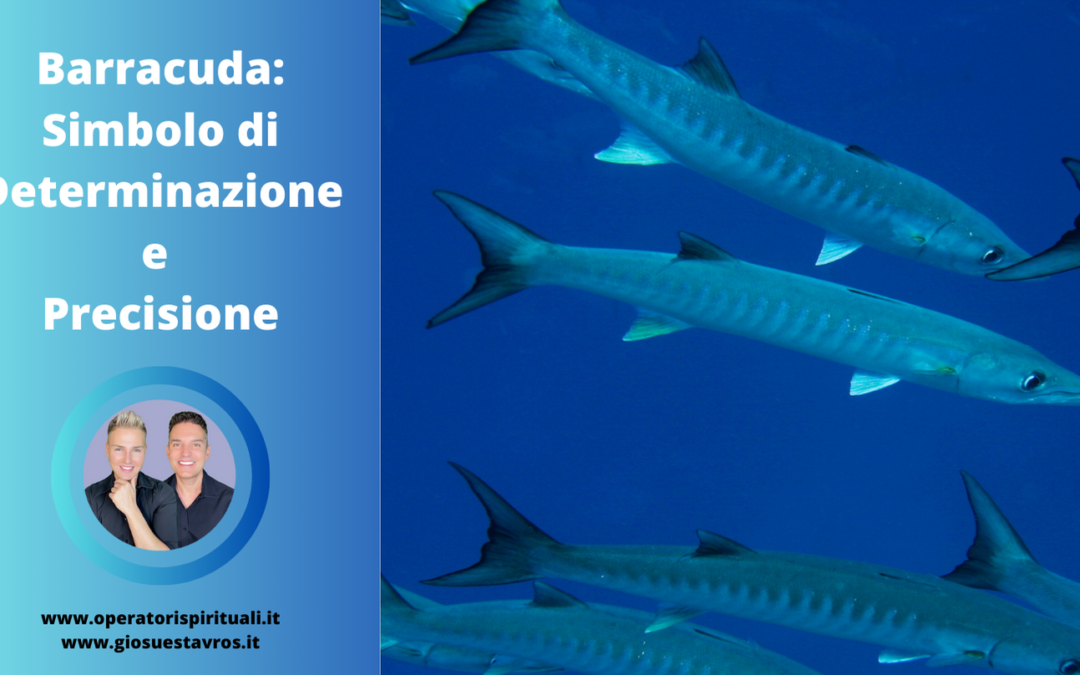 Barracuda Animale Totem, Animale di Potere, Animale Guida