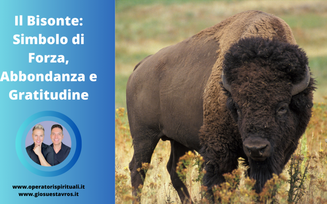 Bisonte (Bufalo) Animale Totem, Animale di Potere, Animale Guida