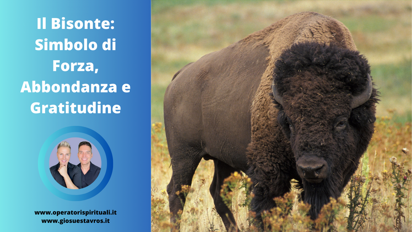 Bisonte animale totem sciamanesimo