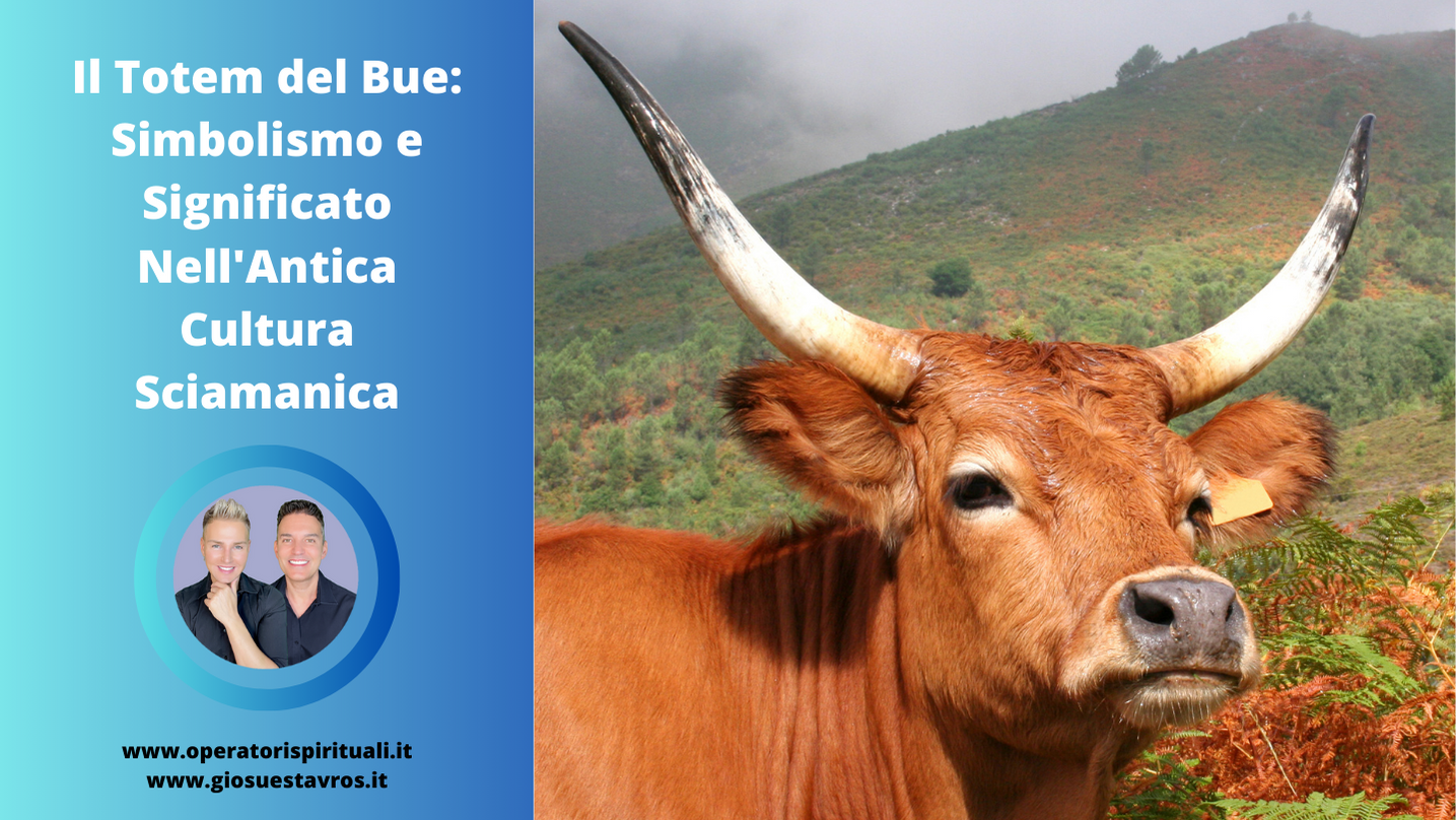Bue animale totem sciamanesimo