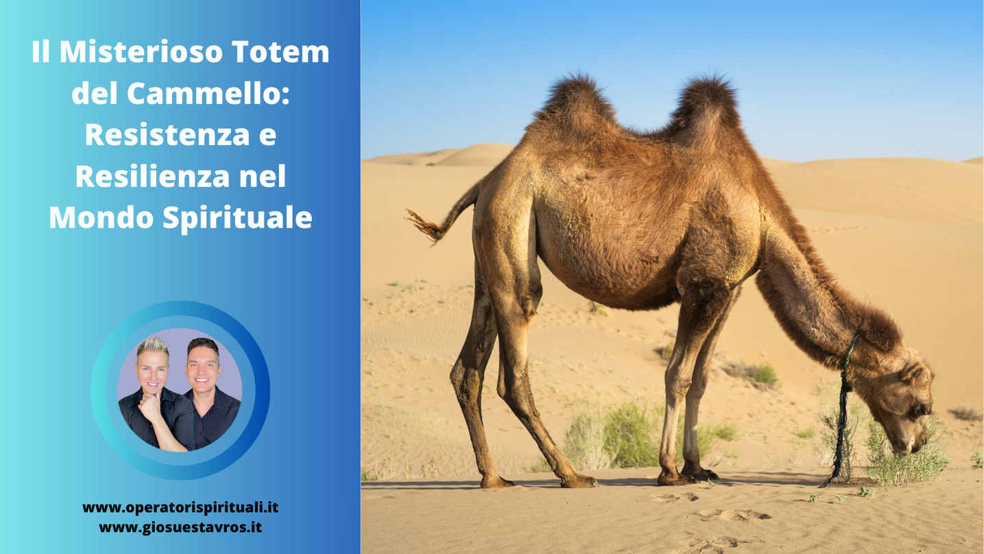 Cammello animale totem sciamanesimo