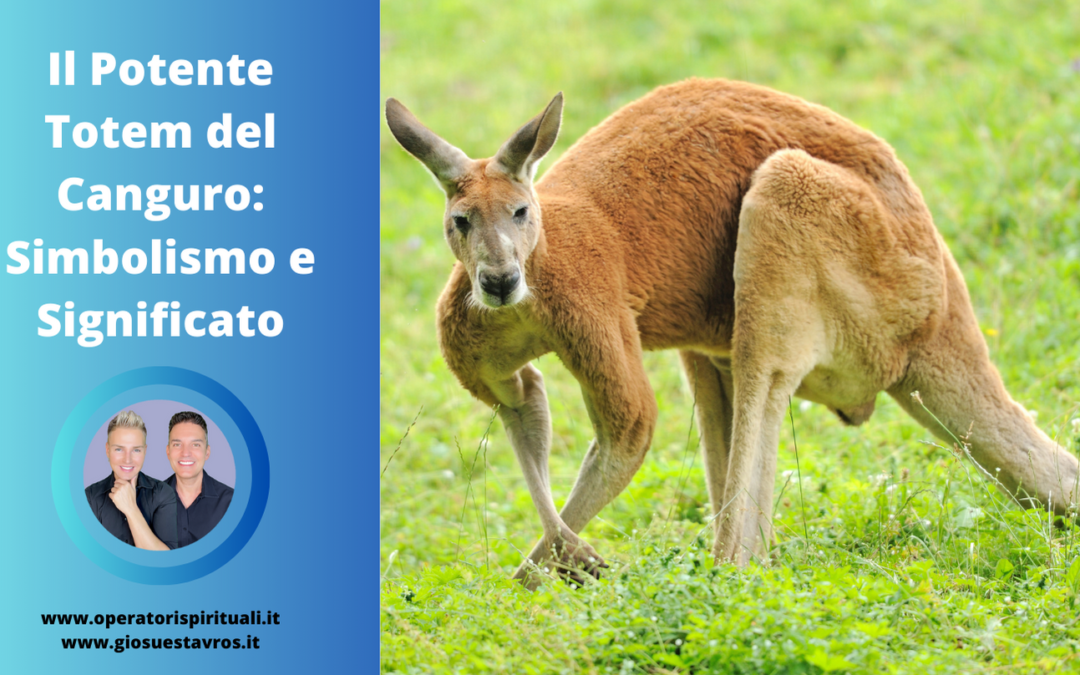 Canguro Animale Totem, Animale di Potere, Animale Guida