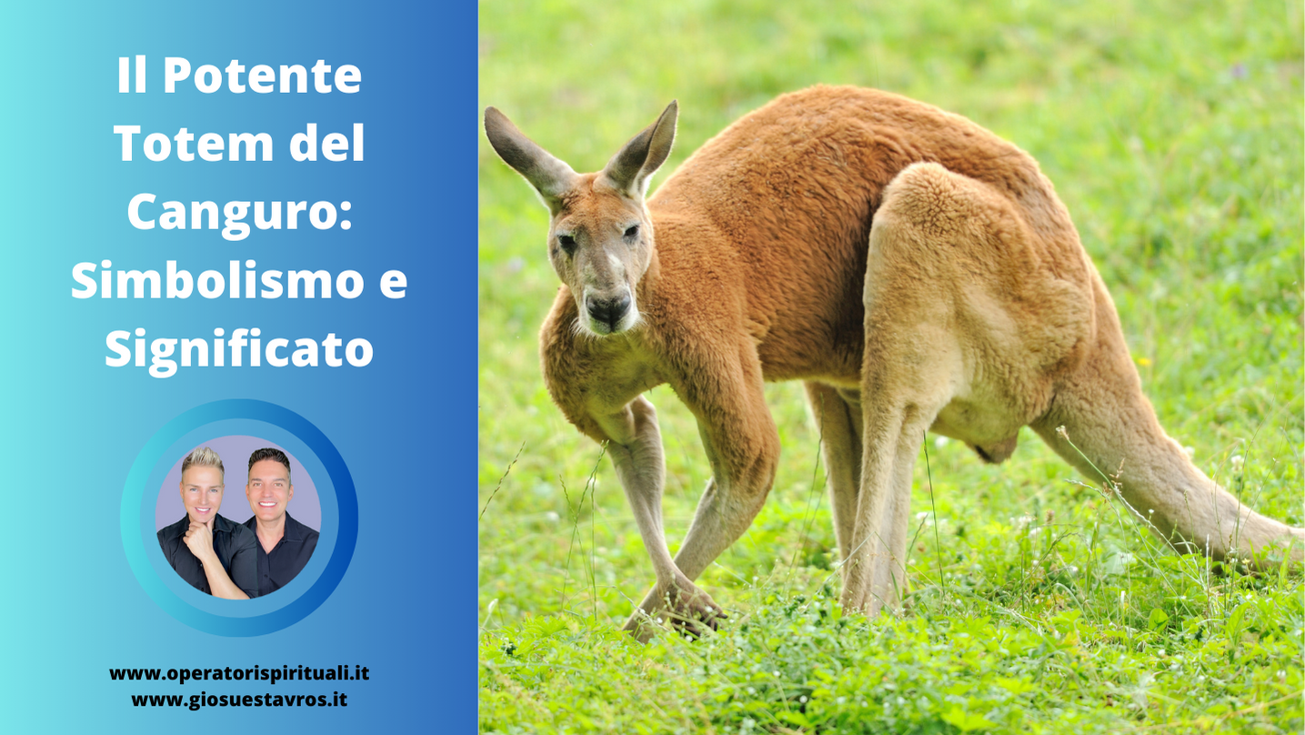 Canguro animale totem sciamanesimo