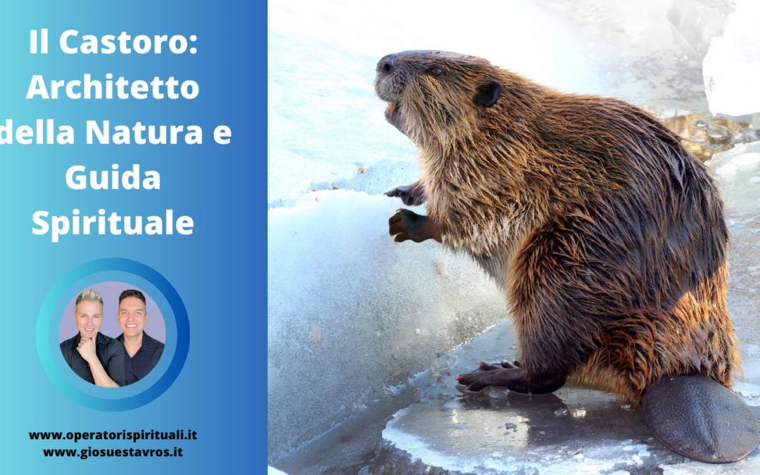 Il Castoro: Architetto della Natura e Guida Spirituale