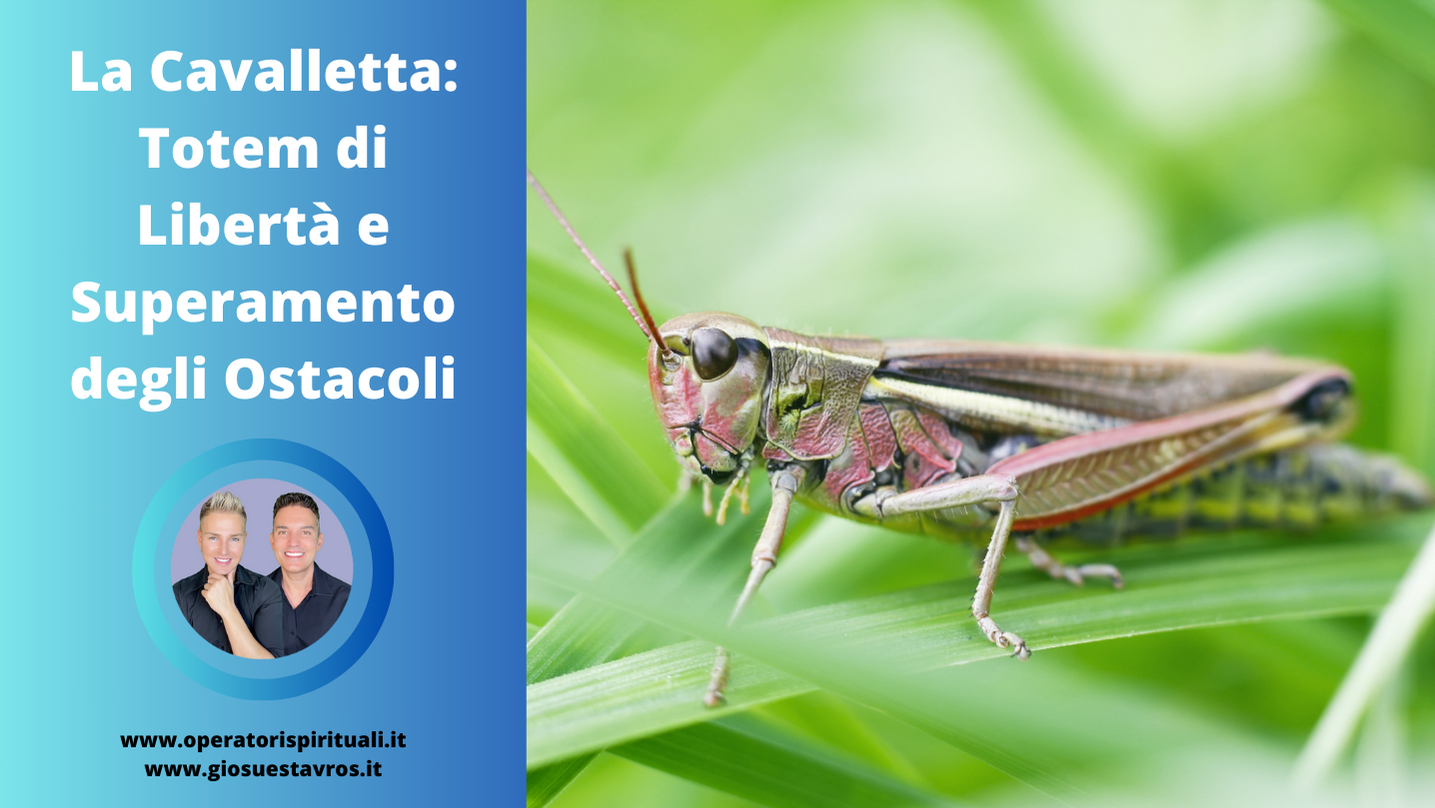 Cavalletta animale totem sciamanesimo