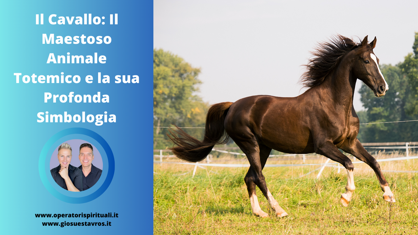 Cavallo animale totem sciamanesimo