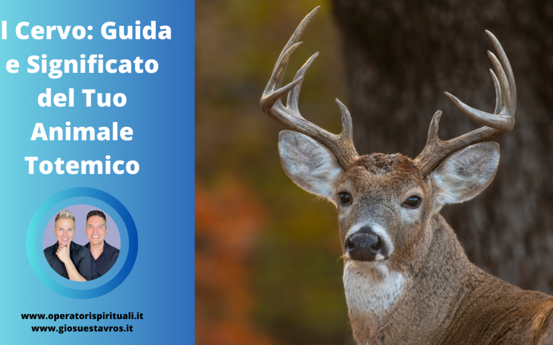 Il Cervo: Guida e Significato del Tuo Animale Totemico