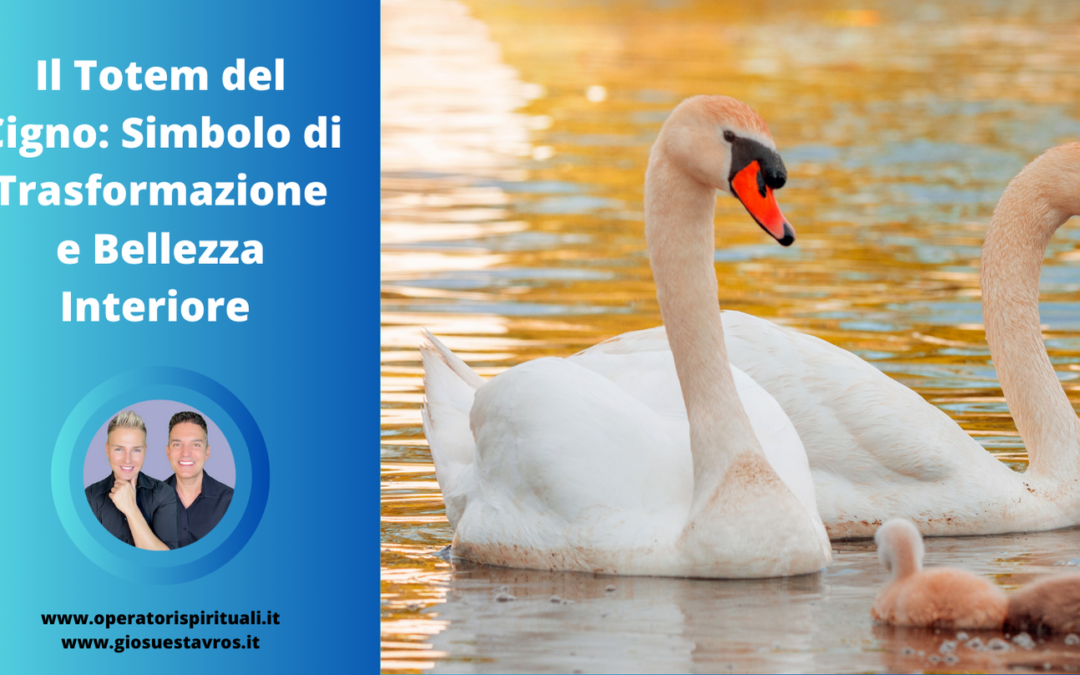 Il Totem del Cigno: Simbolo di Trasformazione e Bellezza Interiore