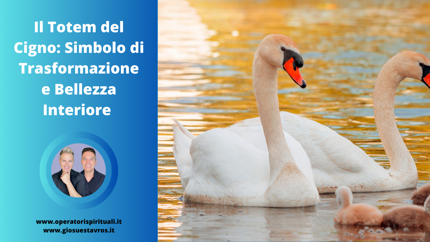 Cigno animale totem sciamanesimo