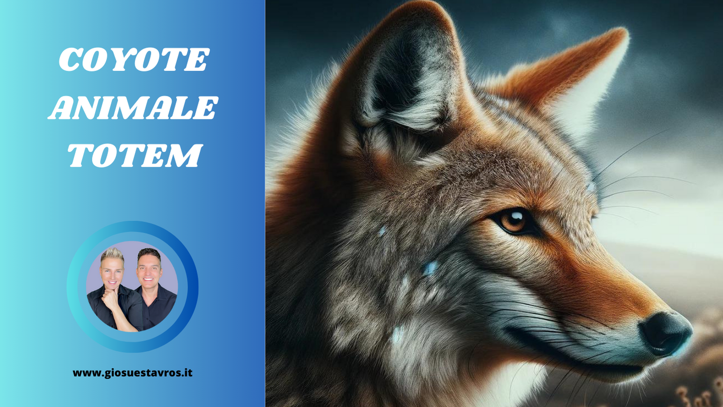 Coyote animale totem