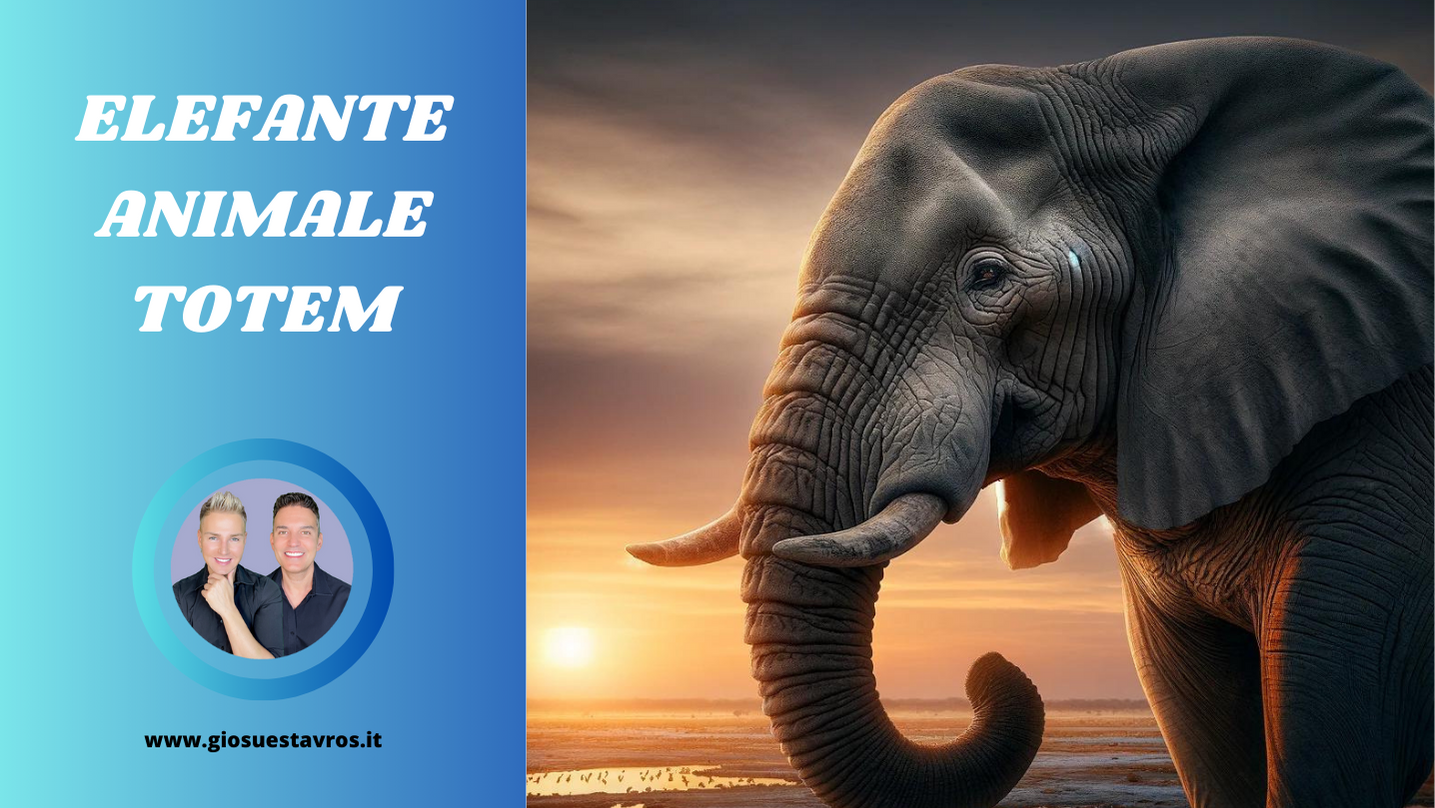Elefante animale totem