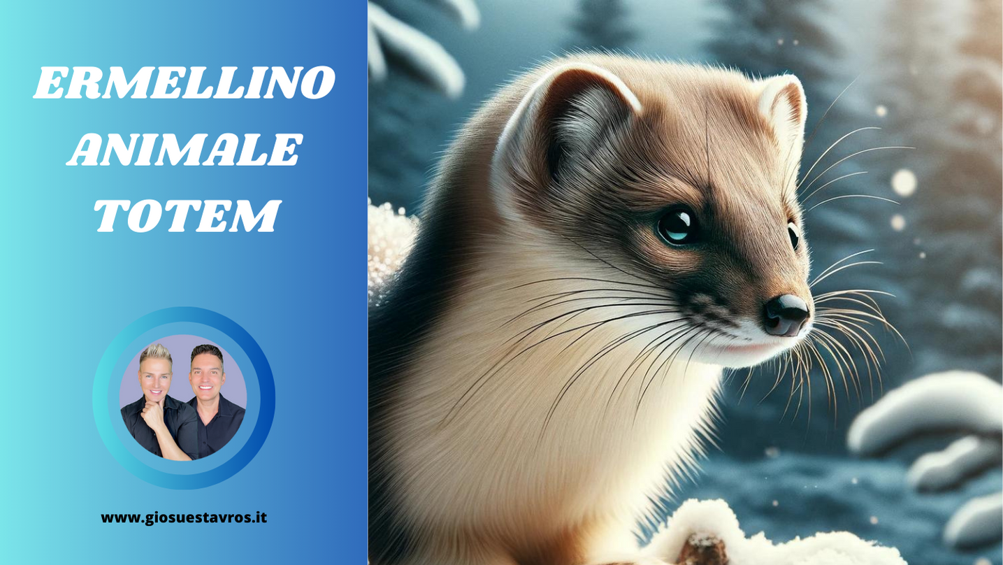 Ermellino Animale Totem