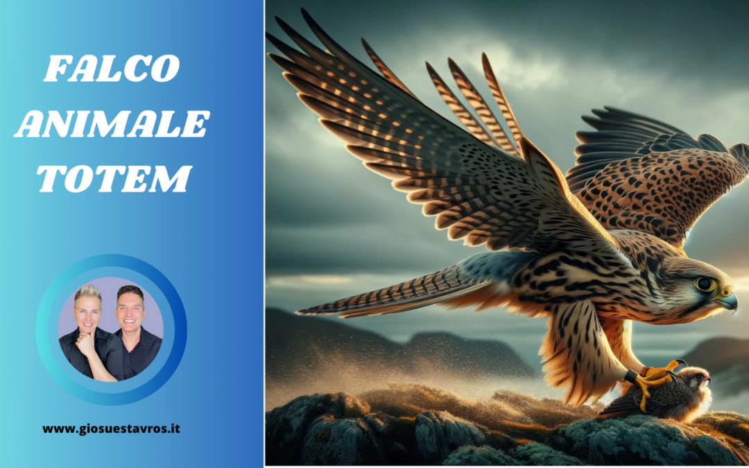 Falco Animale Totem, Animale di Potere, Animale Guida