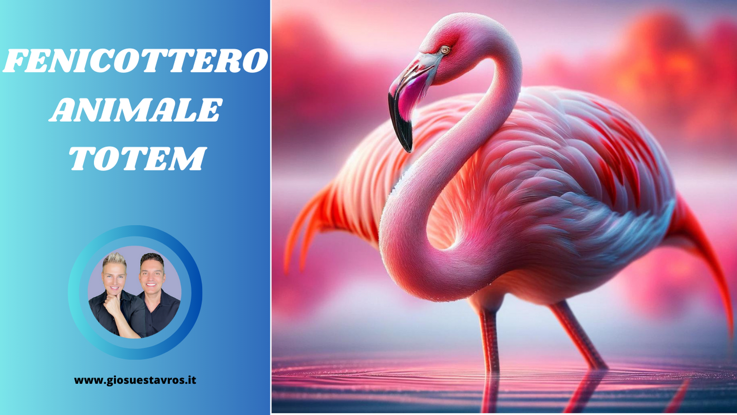 Fenicottero animale totemico