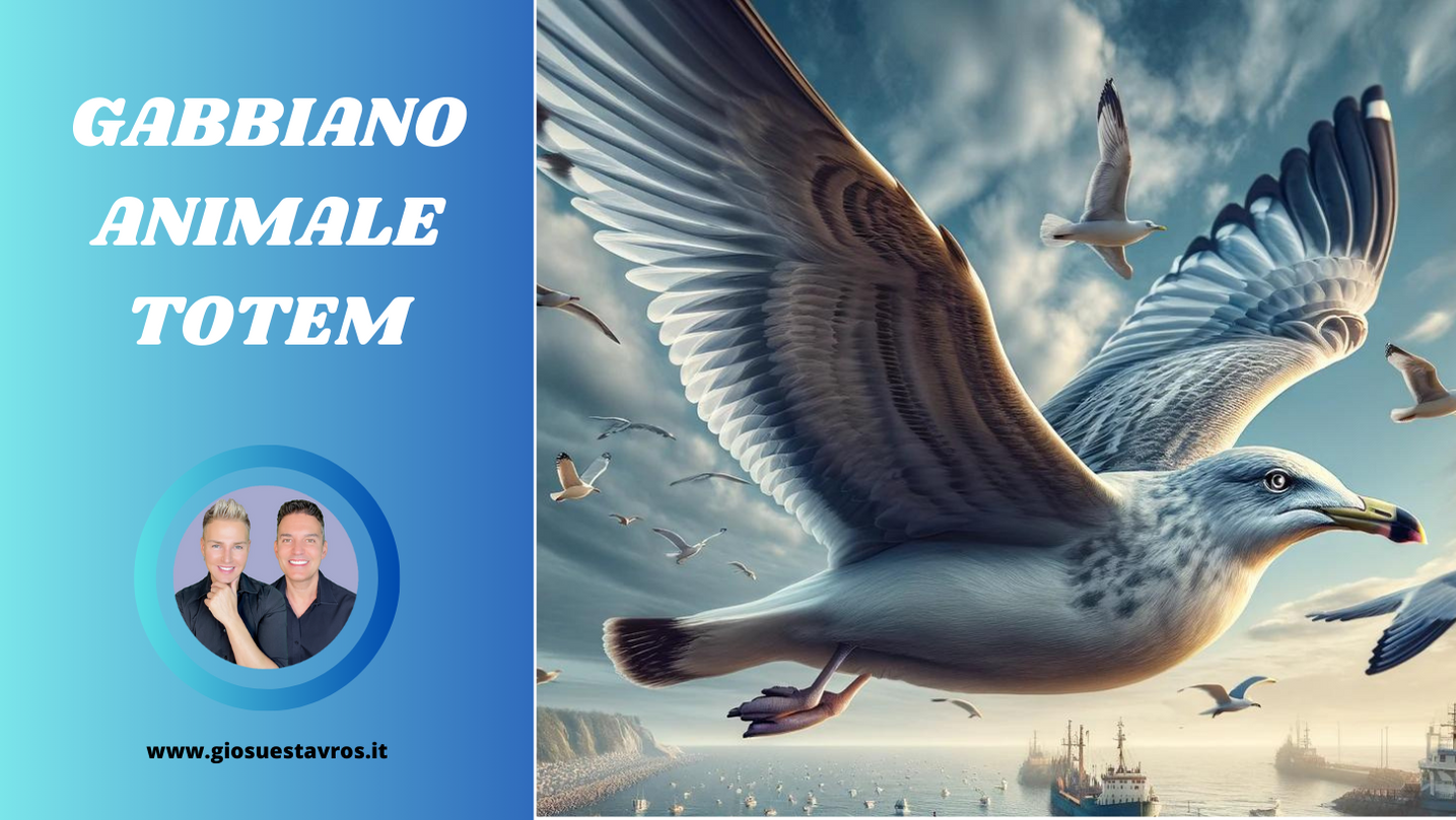 Gabbiano animale totem