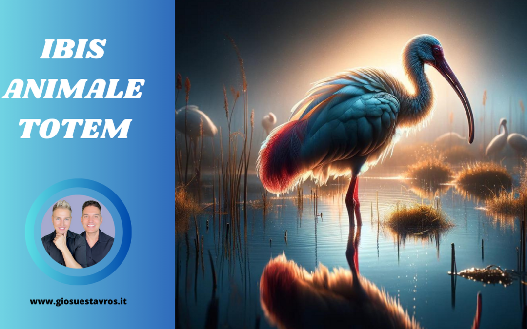 Ibis Animale Totem, Animale di Potere, Animale Guida