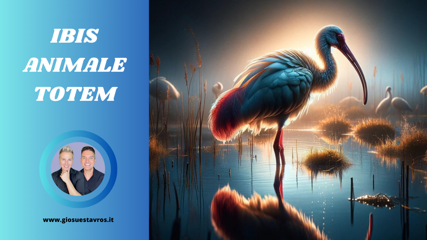 Ibis animale totem