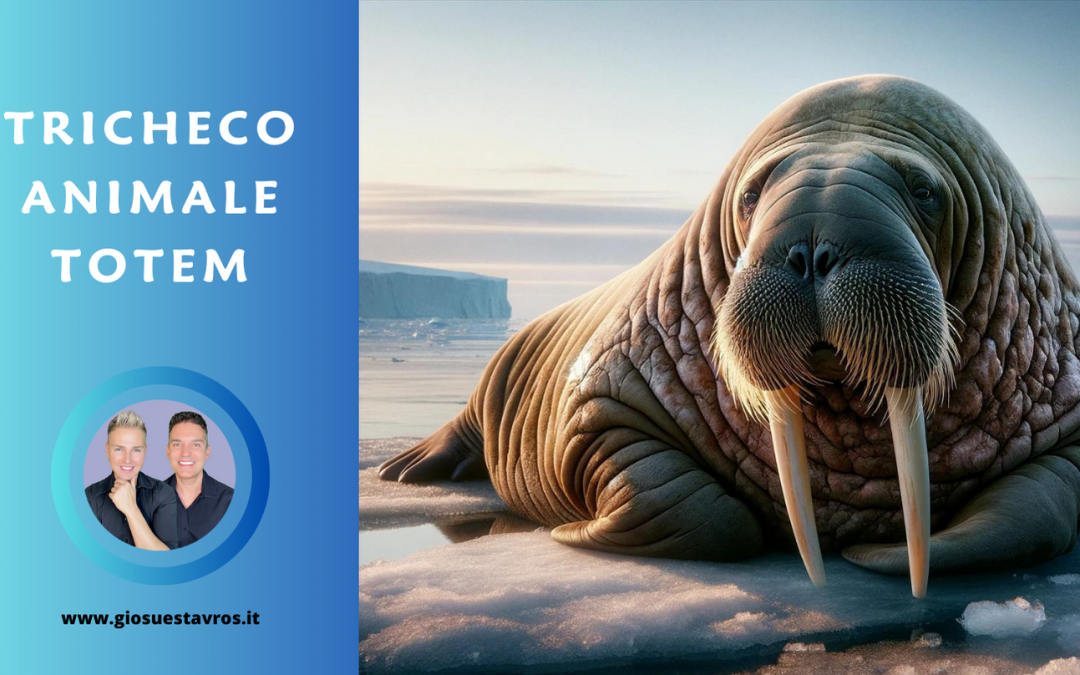 Tricheco Animale Totem, Animale di Potere, Animale Guida