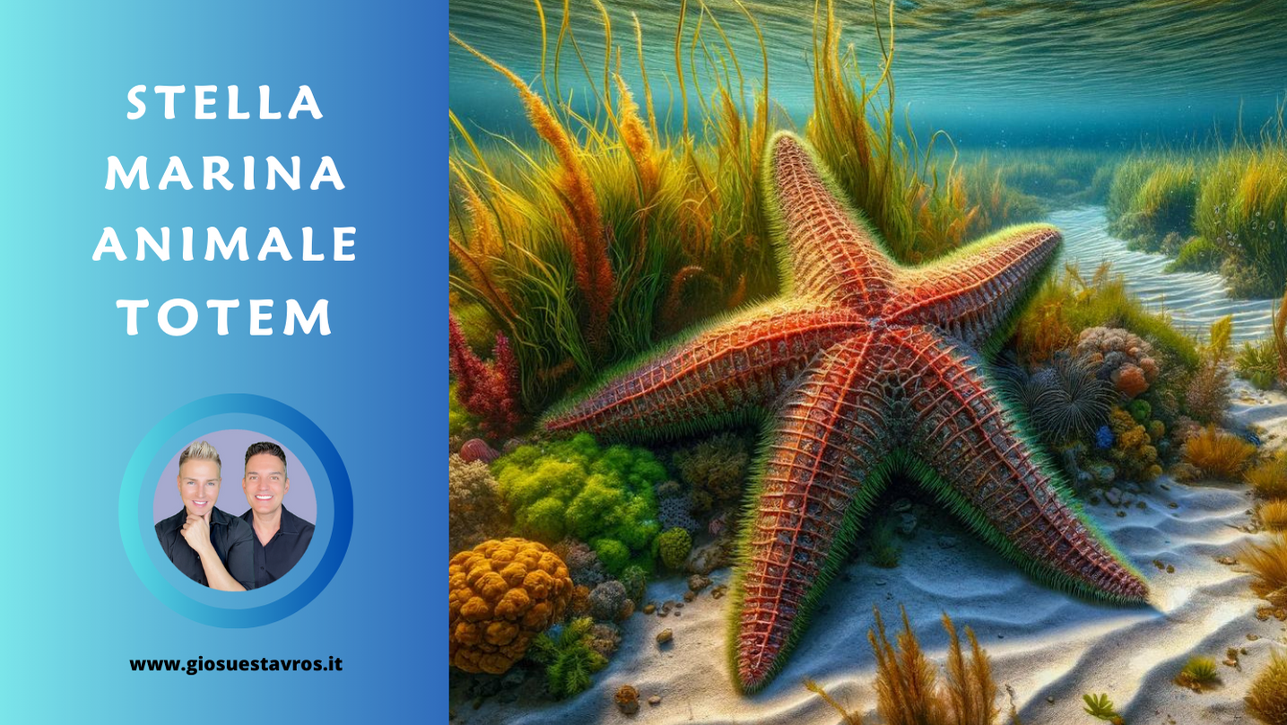 Animale totem Stella marina