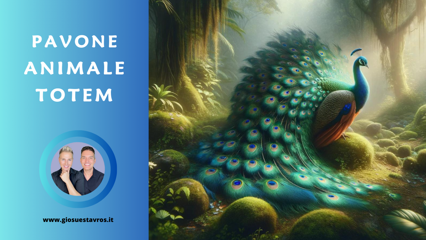 Animali totem pavone