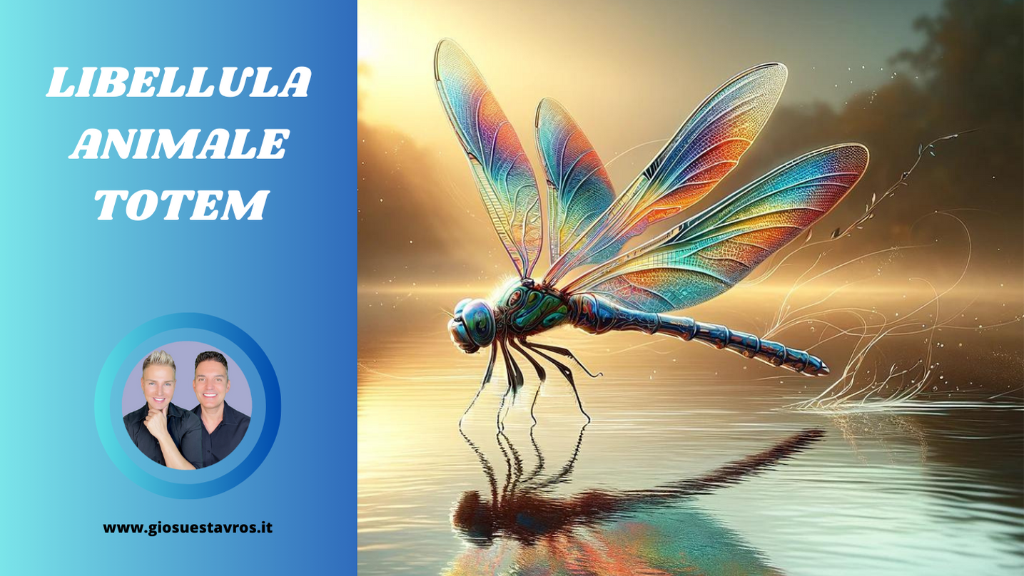 Libellula animale totem