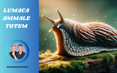 Lumaca Animale Totem, Animale di Potere, Animale Guida