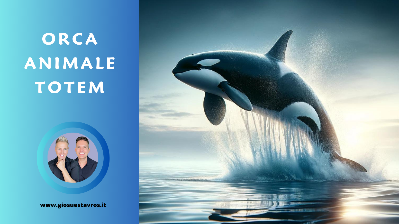 Orca animale totem