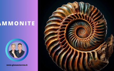 Ammonite e i Suoi Segreti: Storia, Proprietà, Benefici e Corrispondenze per la Cristalloterapia
