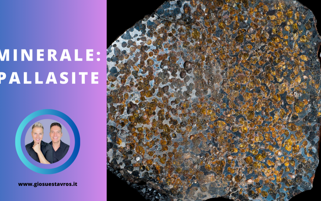 Pallasite e i Suoi Segreti: Storia, Proprietà, Benefici e Corrispondenze per la Cristalloterapia
