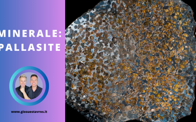 Pallasite e i Suoi Segreti: Storia, Proprietà, Benefici e Corrispondenze per la Cristalloterapia