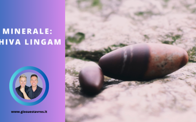 Shiva Lingam e i Suoi Segreti: Storia, Proprietà, Benefici e Corrispondenze per la Cristalloterapia